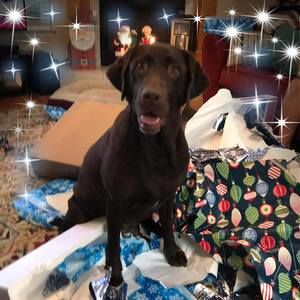 Meet your Posher, Kris